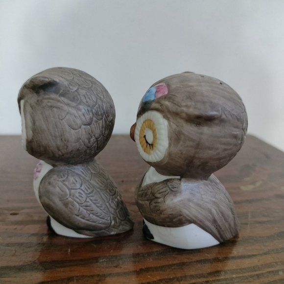 Owl With Flowers Salt Pepper Shakers Cartoon Animated Porcelain Bisque 2.75" - Picture 2 of 6